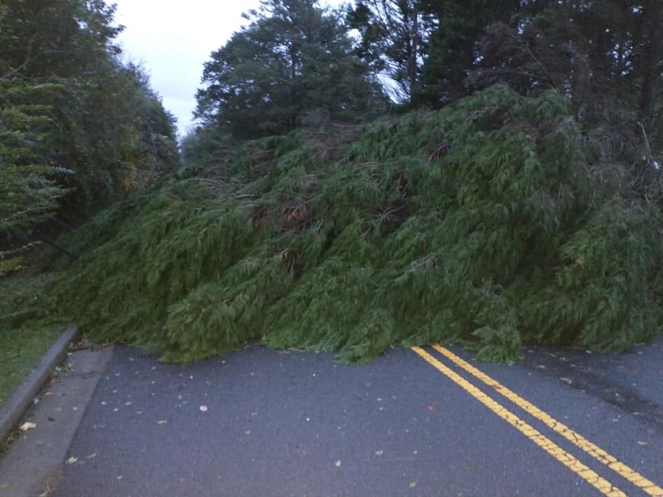 Tropical_Storm_Zeta14.jpg